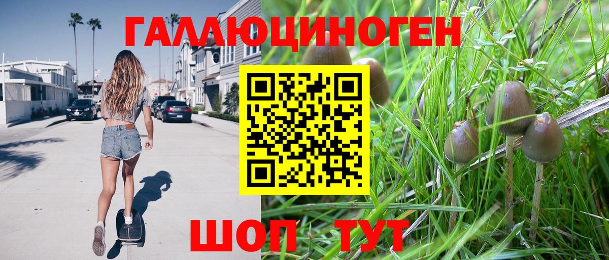 Псилоцибиновые грибы Psilocybe Большой Камень