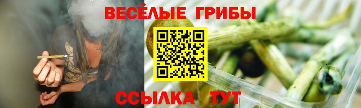Псилоцибиновые грибы ЛСД  Галлюциногенные грибы Cubensis  Большой Камень  Вход с VPN 